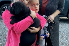 Black San Rocco Corso Puppy