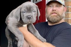 Big Blue San Rocco's Romeo