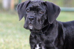 Roxy Daughter of Daria