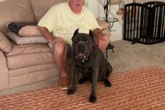 San Rocco's Luca with his owner