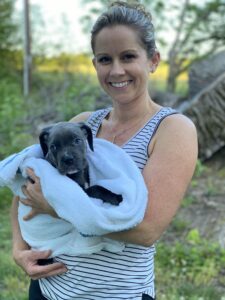 pet ground transportation